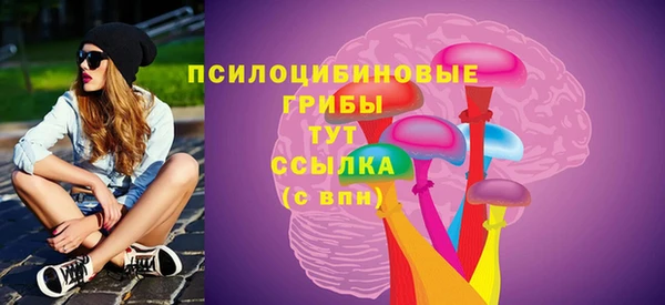 ешки Алексин
