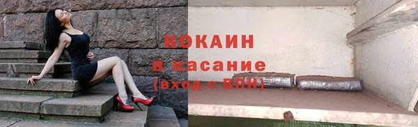 ешки Алексин