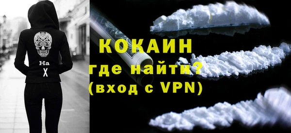 ешки Алексин