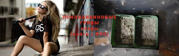 ешки Алексин