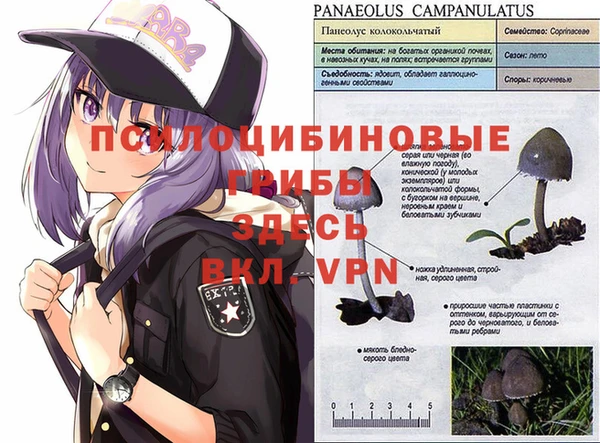 трава Алексеевка